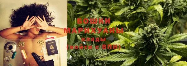 шишки Покачи